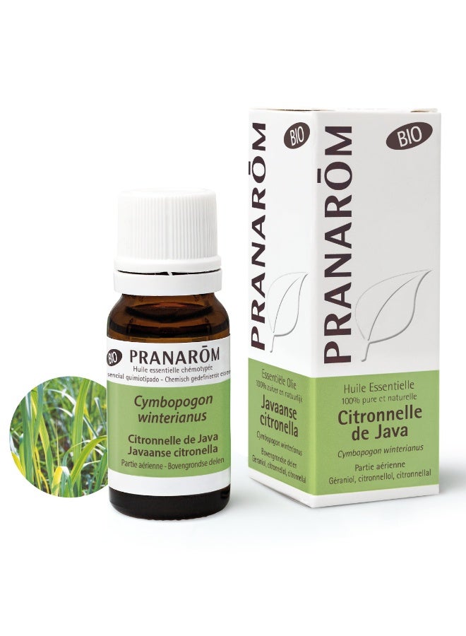 PRANAROM Pranarôm Bio Essential Oil Java Citronnella (Cymbopogon winterianus) 10ml - Image 3
